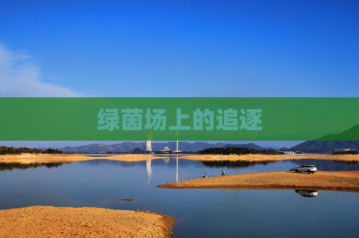 绿茵场上的追逐