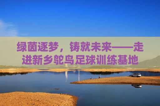 绿茵逐梦,铸就未来——走进新乡鸵鸟足球训练基地