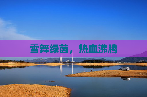 雪舞绿茵,热血沸腾