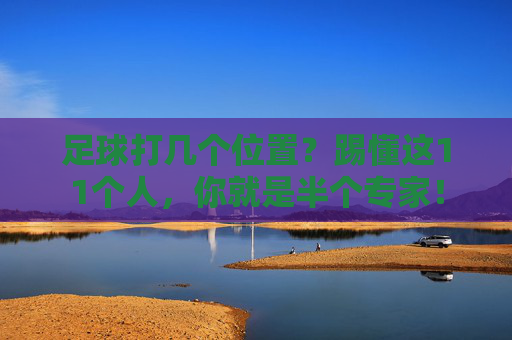 足球打几个位置？踢懂这11个人，你就是半个专家！