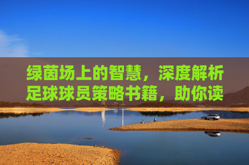 绿茵场上的智慧,深度解析足球球员策略书籍,助你读懂比赛