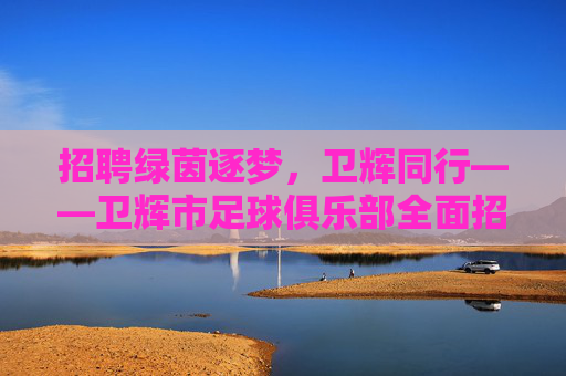 招聘绿茵逐梦,卫辉同行——卫辉市足球俱乐部全面招募令