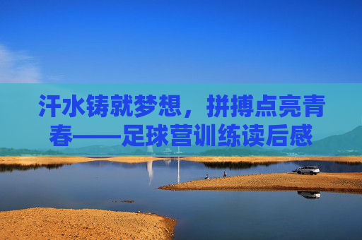 汗水铸就梦想，拼搏点亮青春——足球营训练读后感