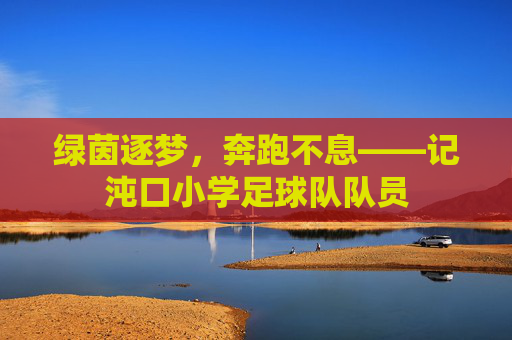 绿茵逐梦,奔跑不息——记沌口小学足球队队员