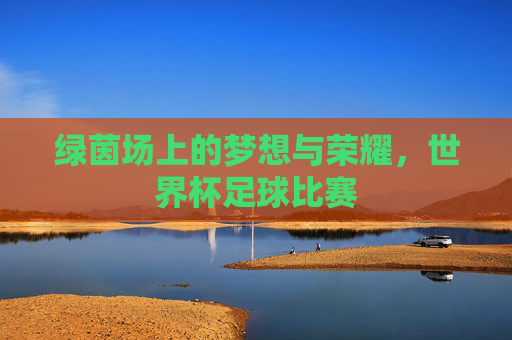 绿茵场上的梦想与荣耀,世界杯足球比赛