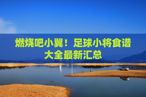 燃烧吧小翼!足球小将食谱大全最新汇总