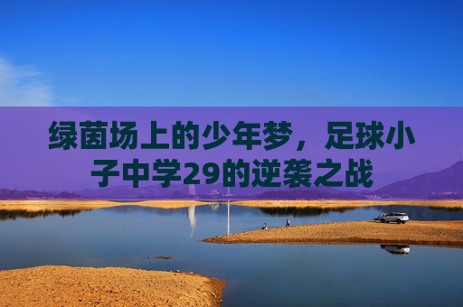 绿茵场上的少年梦,足球小子中学29的逆袭之战