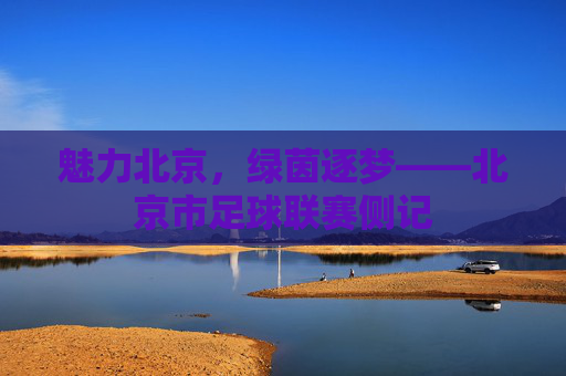 魅力北京,绿茵逐梦——北京市足球联赛侧记
