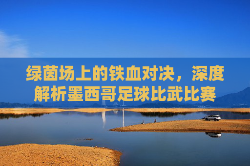 绿茵场上的铁血对决,深度解析墨西哥足球比武比赛