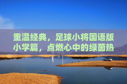 重温经典,足球小将国语版小学篇,点燃心中的绿茵热血