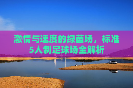 激情与速度的绿茵场,标准5人制足球场全解析