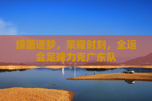 绿茵逐梦,荣耀时刻,全运会足球力克广东队