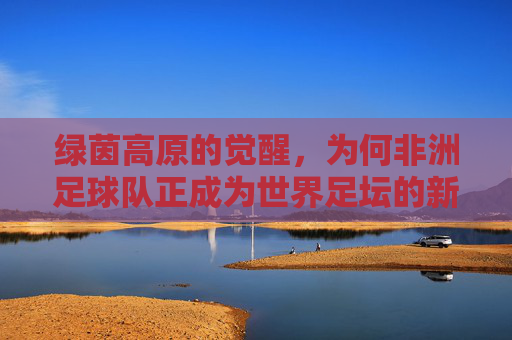 绿茵高原的觉醒，为何非洲足球队正成为世界足坛的新王者