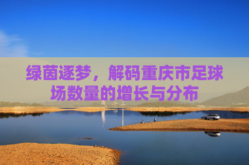 绿茵逐梦,解码重庆市足球场数量的增长与分布