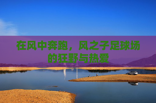 在风中奔跑,风之子足球场的狂野与热爱
