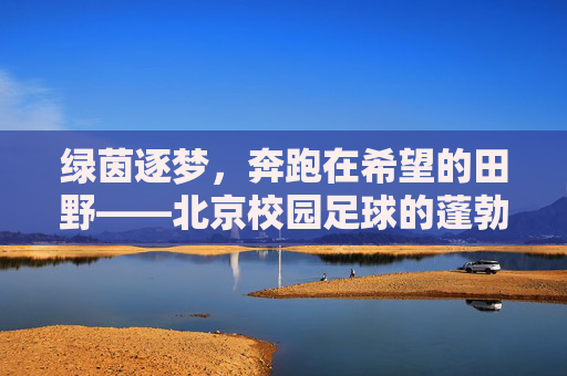 绿茵逐梦,奔跑在希望的田野——北京校园足球的蓬勃生机