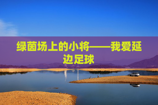 绿茵场上的小将——我爱延边足球