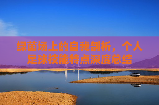 绿茵场上的自我剖析,个人足球技能特点深度总结