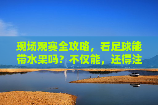 现场观赛全攻略,看足球能带水果吗?不仅能,还得注意这些细节!