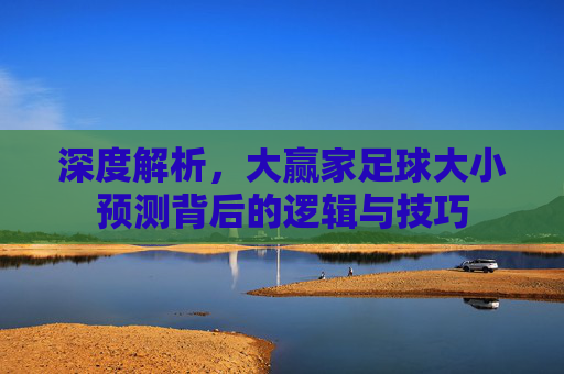 深度解析,大赢家足球大小预测背后的逻辑与技巧