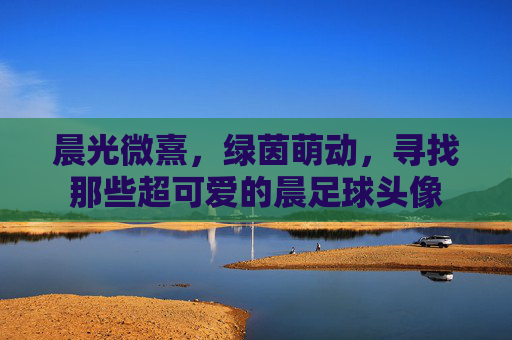晨光微熹,绿茵萌动,寻找那些超可爱的晨足球头像