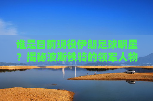 谁是目前现役伊朗足球明星?揭秘波斯铁骑的领军人物