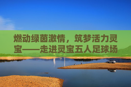 燃动绿茵激情，筑梦活力灵宝——走进灵宝五人足球场