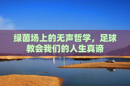 绿茵场上的无声哲学,足球教会我们的人生真谛