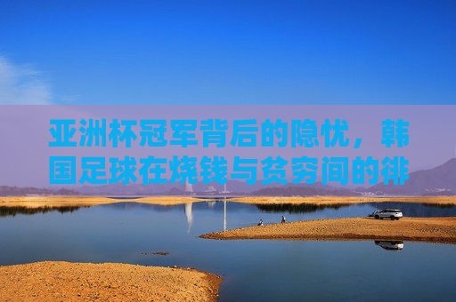 亚洲杯冠军背后的隐忧，韩国足球在烧钱与贫穷间的徘徊