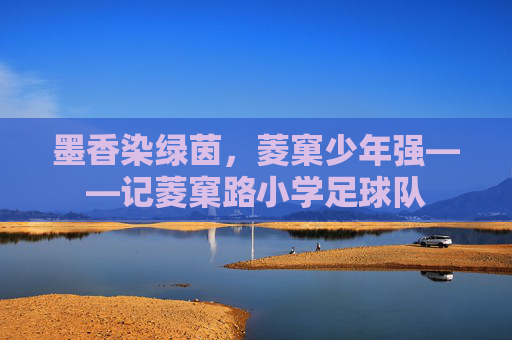 墨香染绿茵，菱窠少年强——记菱窠路小学足球队