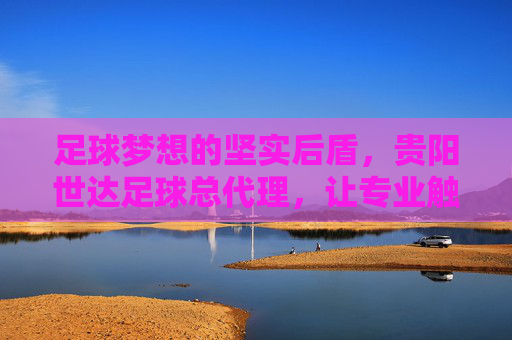 足球梦想的坚实后盾,贵阳世达足球总代理,让专业触手可及