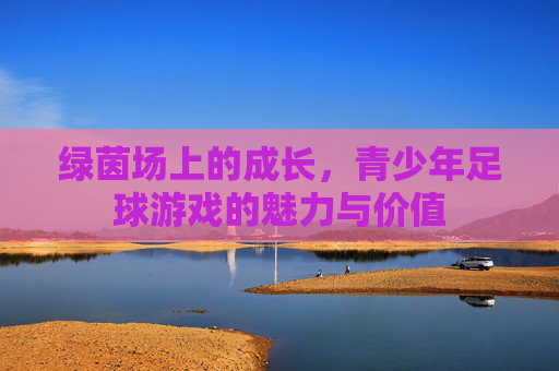 绿茵场上的成长，青少年足球游戏的魅力与价值