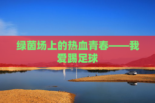 绿茵场上的热血青春——我爱踢足球