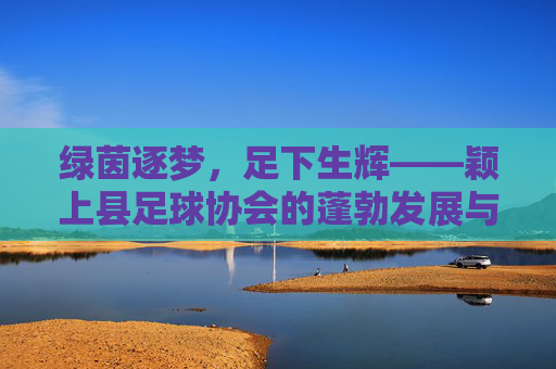 绿茵逐梦,足下生辉——颖上县足球协会的蓬勃发展与绿茵情怀