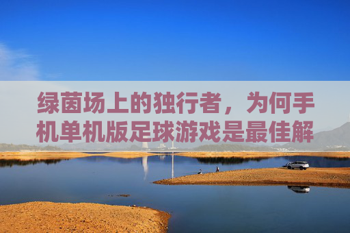 绿茵场上的独行者,为何手机单机版足球游戏是最佳解药?