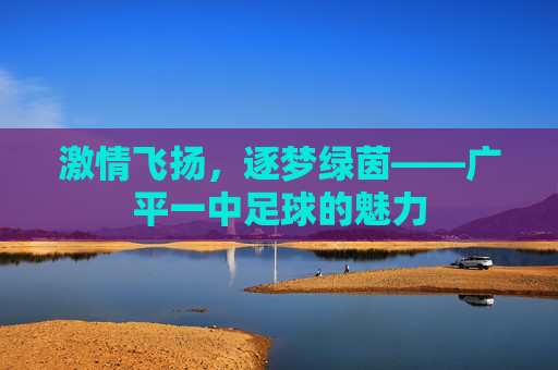 激情飞扬,逐梦绿茵——广平一中足球的魅力