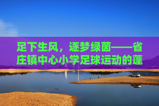 足下生风,逐梦绿茵——省庄镇中心小学足球运动的蓬勃开展