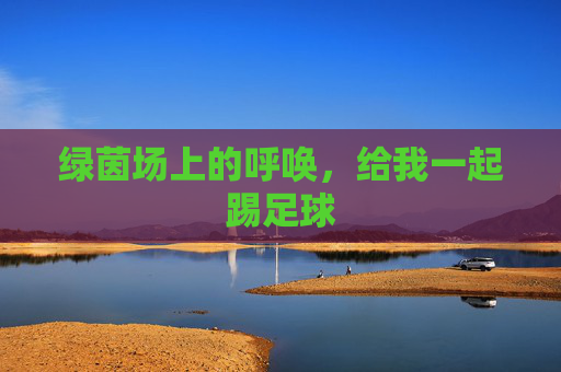 绿茵场上的呼唤，给我一起踢足球