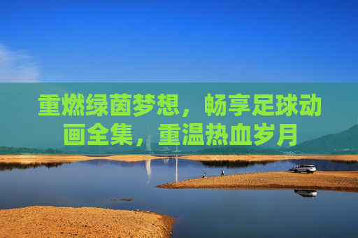 重燃绿茵梦想,畅享足球动画全集,重温热血岁月