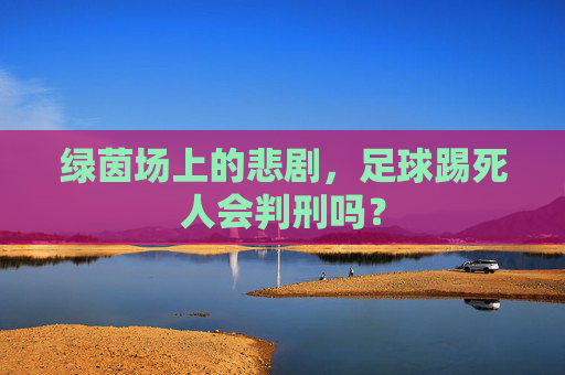 绿茵场上的悲剧,足球踢死人会判刑吗?