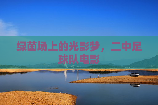 绿茵场上的光影梦,二中足球队电影