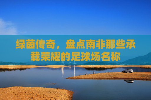 绿茵传奇,盘点南非那些承载荣耀的足球场名称
