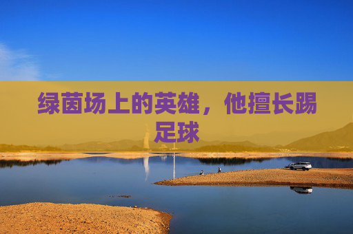 绿茵场上的英雄,他擅长踢足球