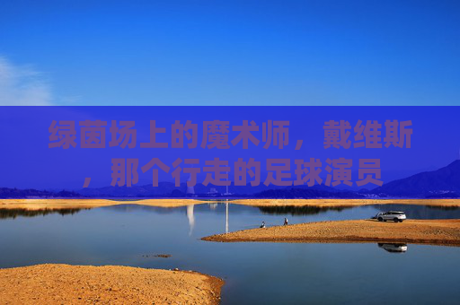 绿茵场上的魔术师,戴维斯,那个行走的足球演员