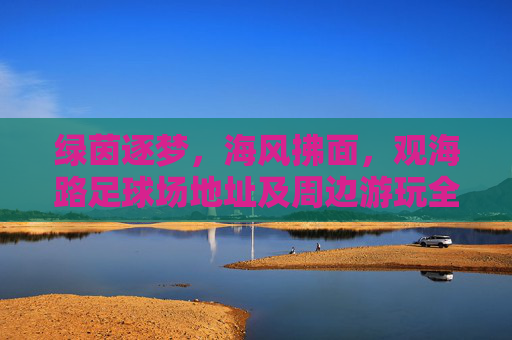 绿茵逐梦,海风拂面,观海路足球场地址及周边游玩全攻略
