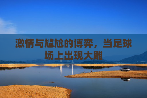 激情与尴尬的博弈,当足球场上出现大雕