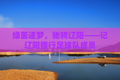 绿茵逐梦,驰骋辽阳——记辽阳银行足球队成员