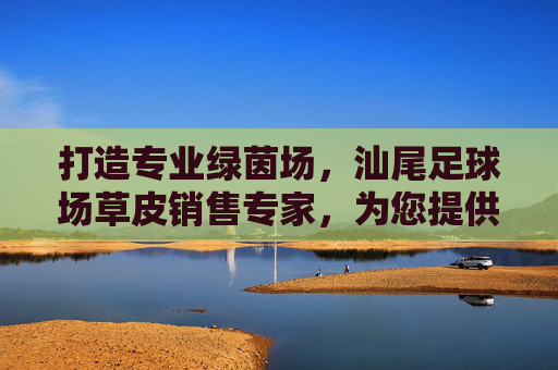 打造专业绿茵场，汕尾足球场草皮销售专家，为您提供高品质运动草坪解决方案