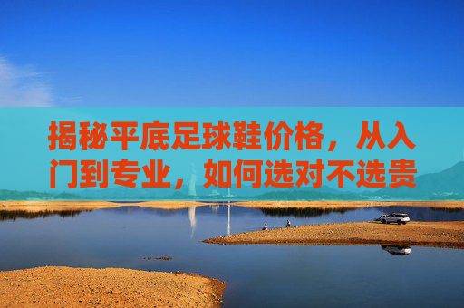 揭秘平底足球鞋价格,从入门到专业,如何选对不选贵