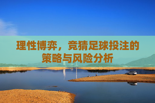 理性博弈,竞猜足球投注的策略与风险分析